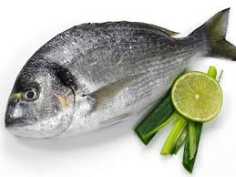 Kaboria Seafood
